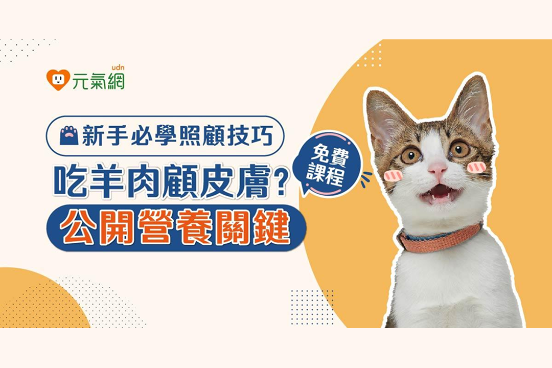 【免費線上課程】羊肉讓貓狗皮膚變好？獸醫師告訴你真理