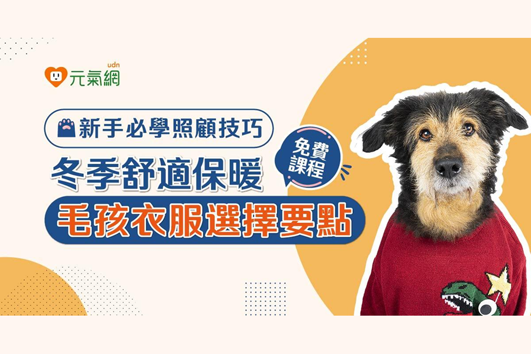 【免費線上課程】毛孩冬季衣服怎麼選？ 3撇步獸醫師告訴你